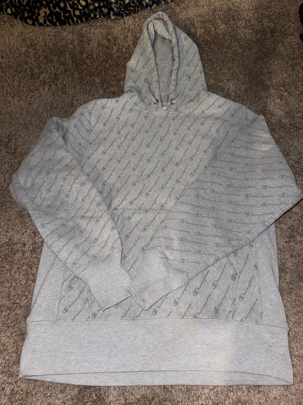 Champion Sweatshirt